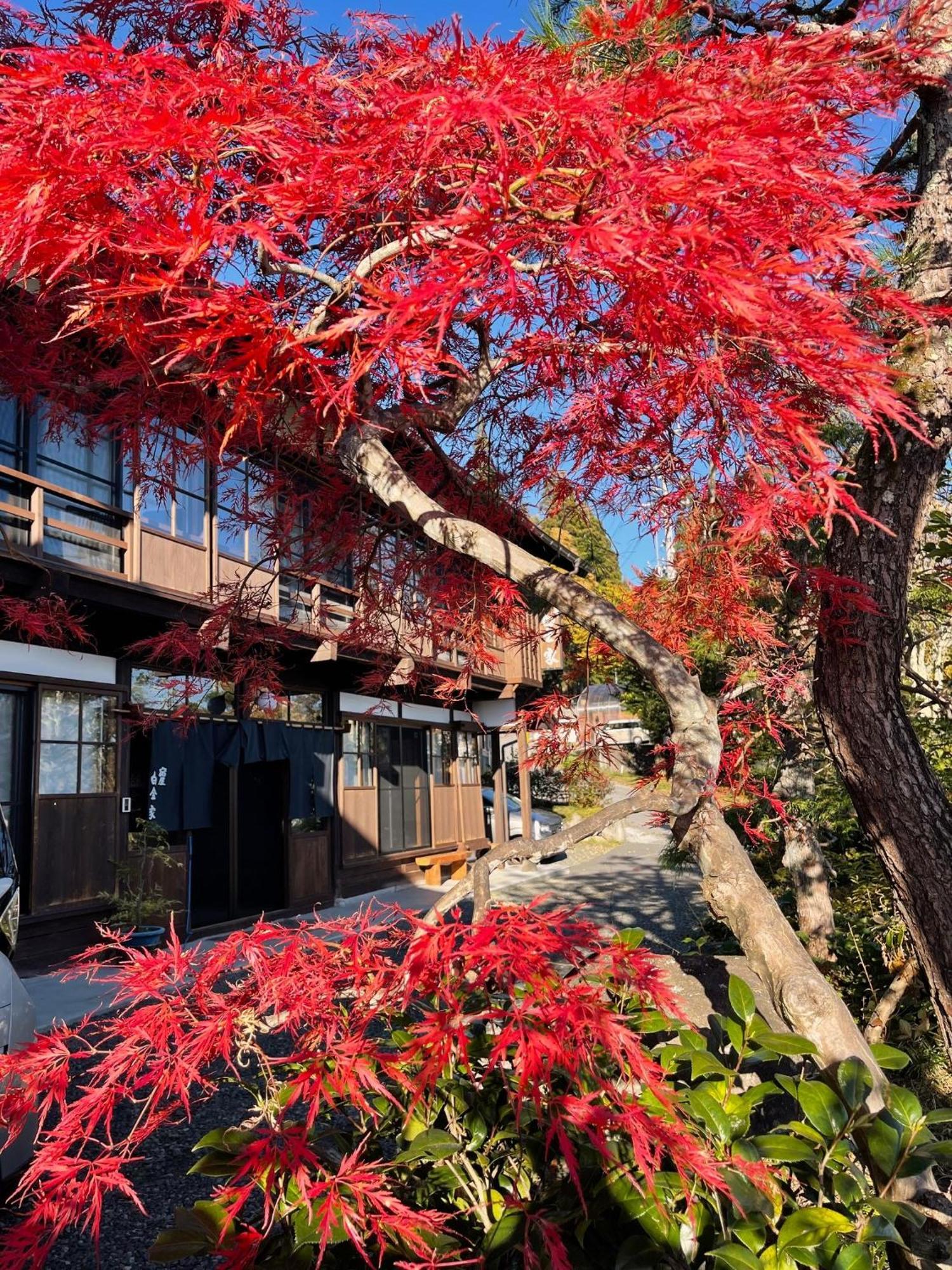 宿屋白金家 Yadoya-Shiroganeya 1日1組限定2名から8名様まで 全館貸切り 伝統的建造物の旅籠宿 Traditional Culture Experience Nagano Kültér fotó